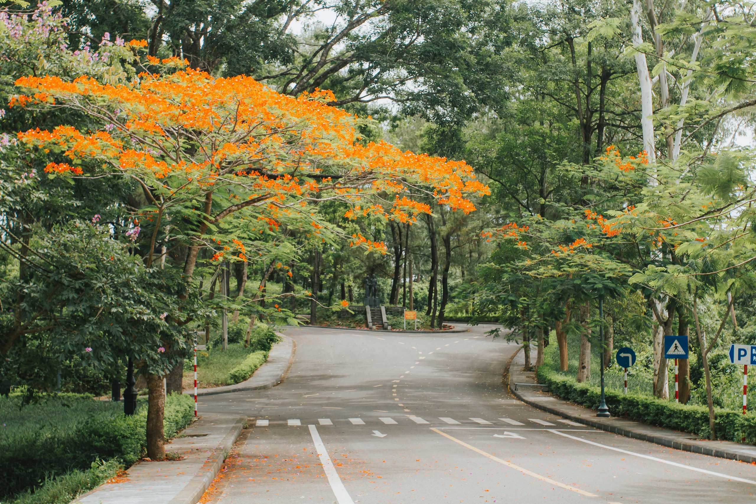 Những địa danh huyền thoại của Quảng Trị trong hành trình về nguồn đạp xe Vì hòa bình- Ảnh 5. Những địa danh huyền thoại của Quảng Trị trong hành trình về nguồn đạp xe Vì hòa bình- Ảnh 5.